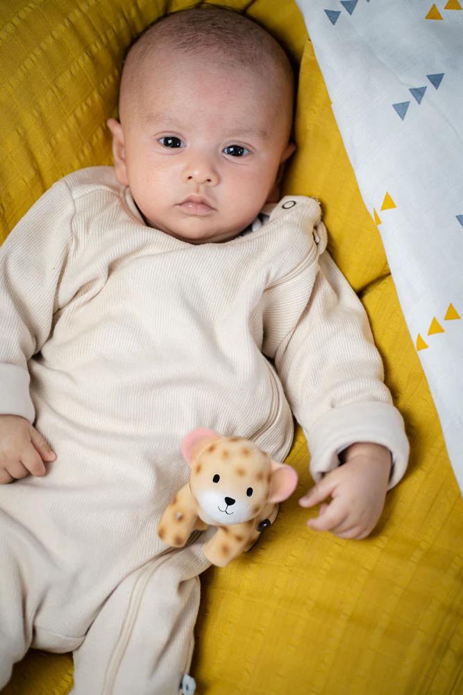 Rubber Leopard Animal - Image 5