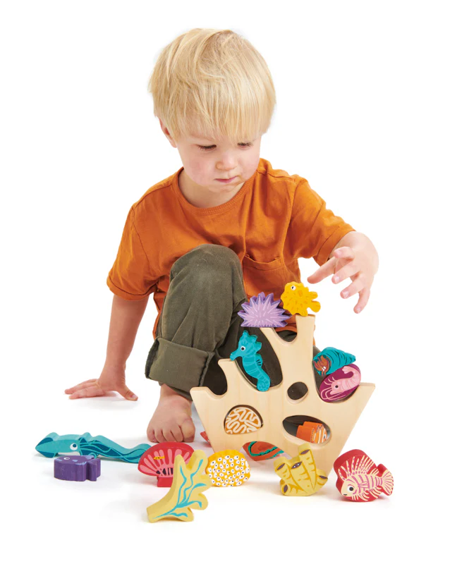 Stacking Coral Reef - Image 5