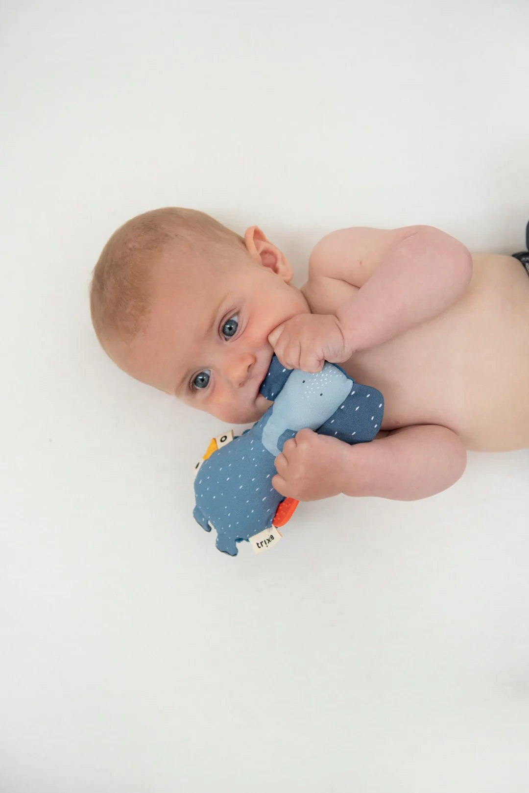 Mini Activity Toy - Mrs. Elephant - Image 3