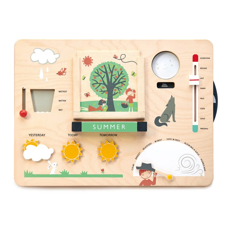 Wooden Educational Weather Station