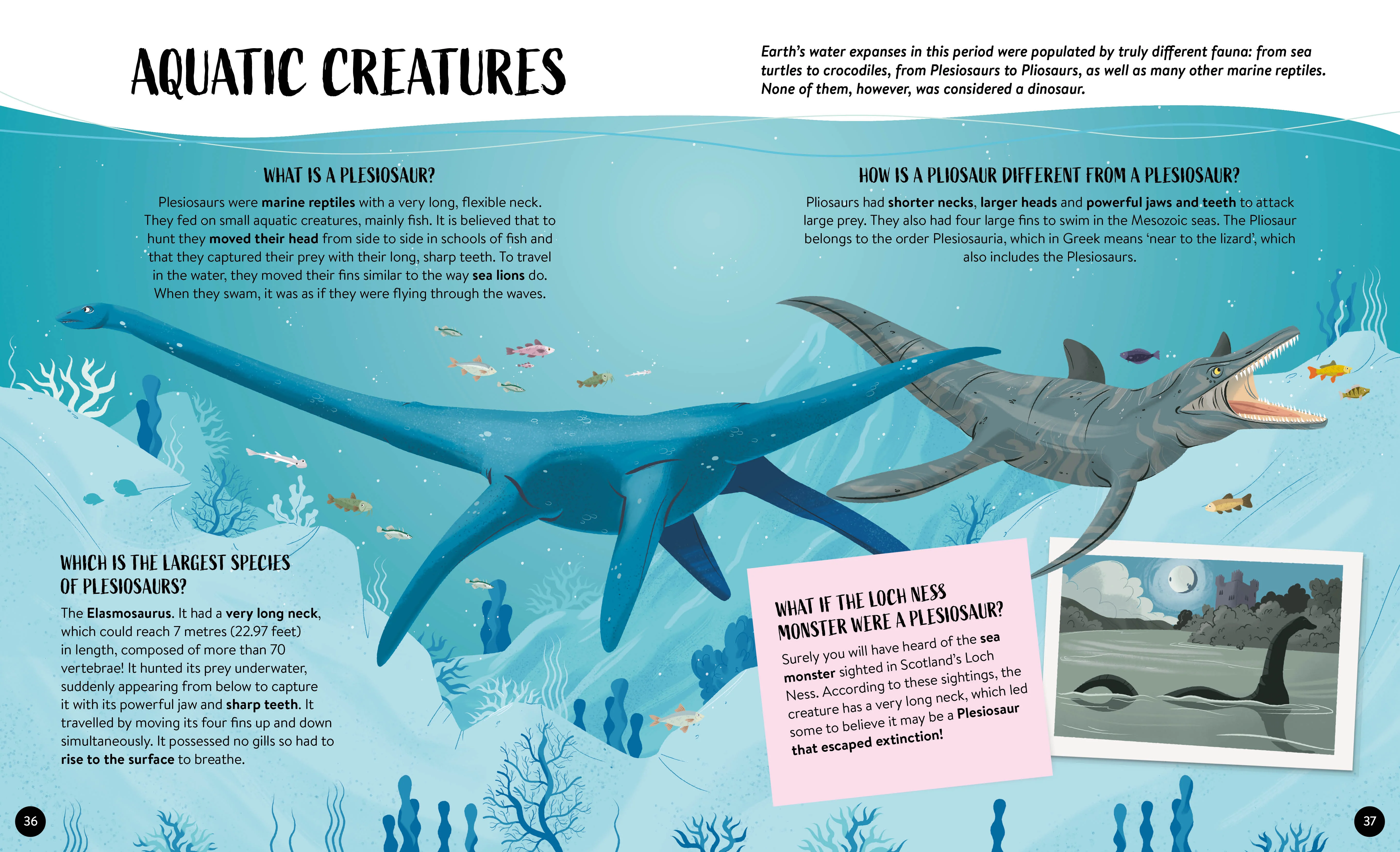 What How Why Dinosaurs Book and Poster - Image 6