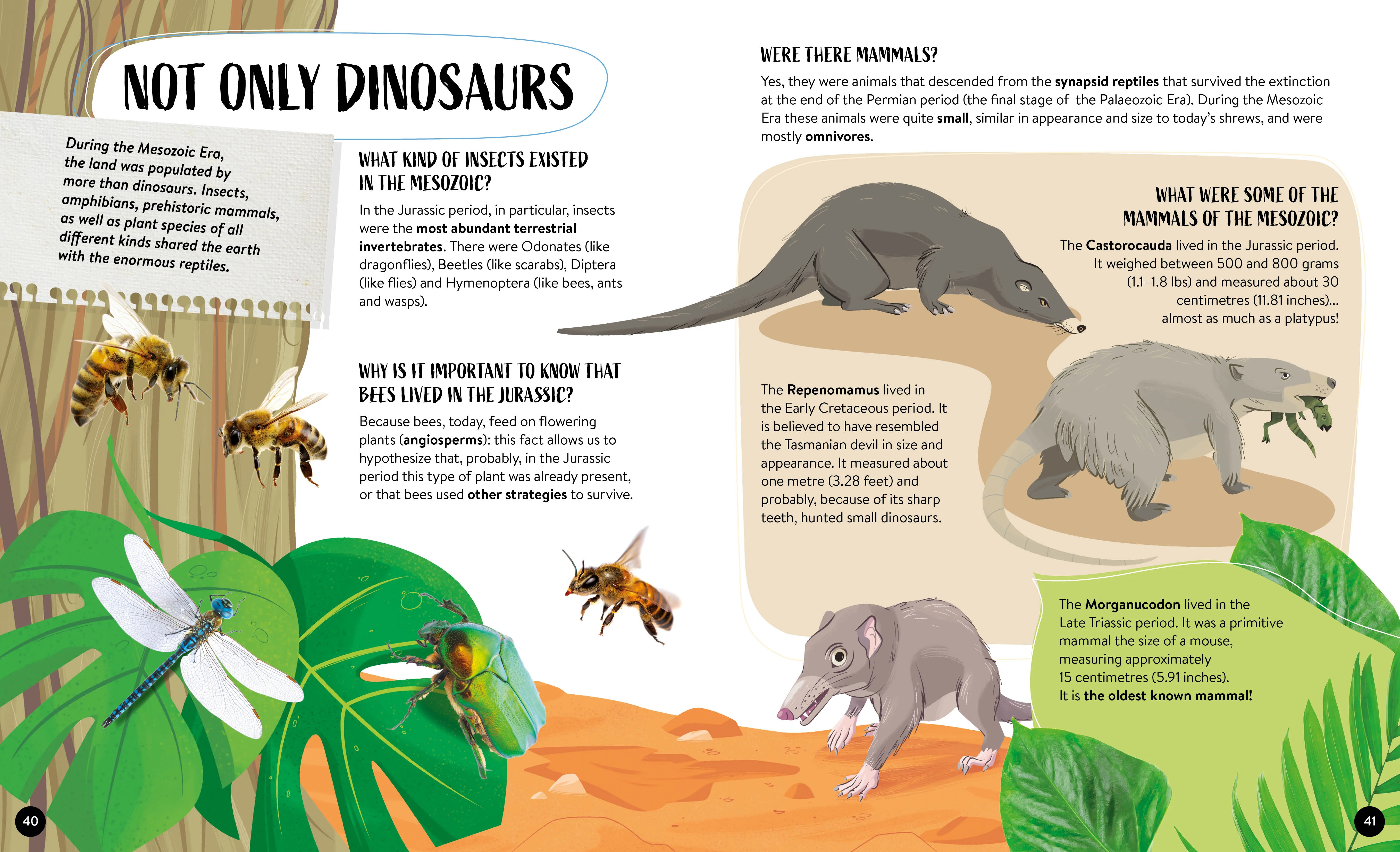 What How Why Dinosaurs Book and Poster - Image 7