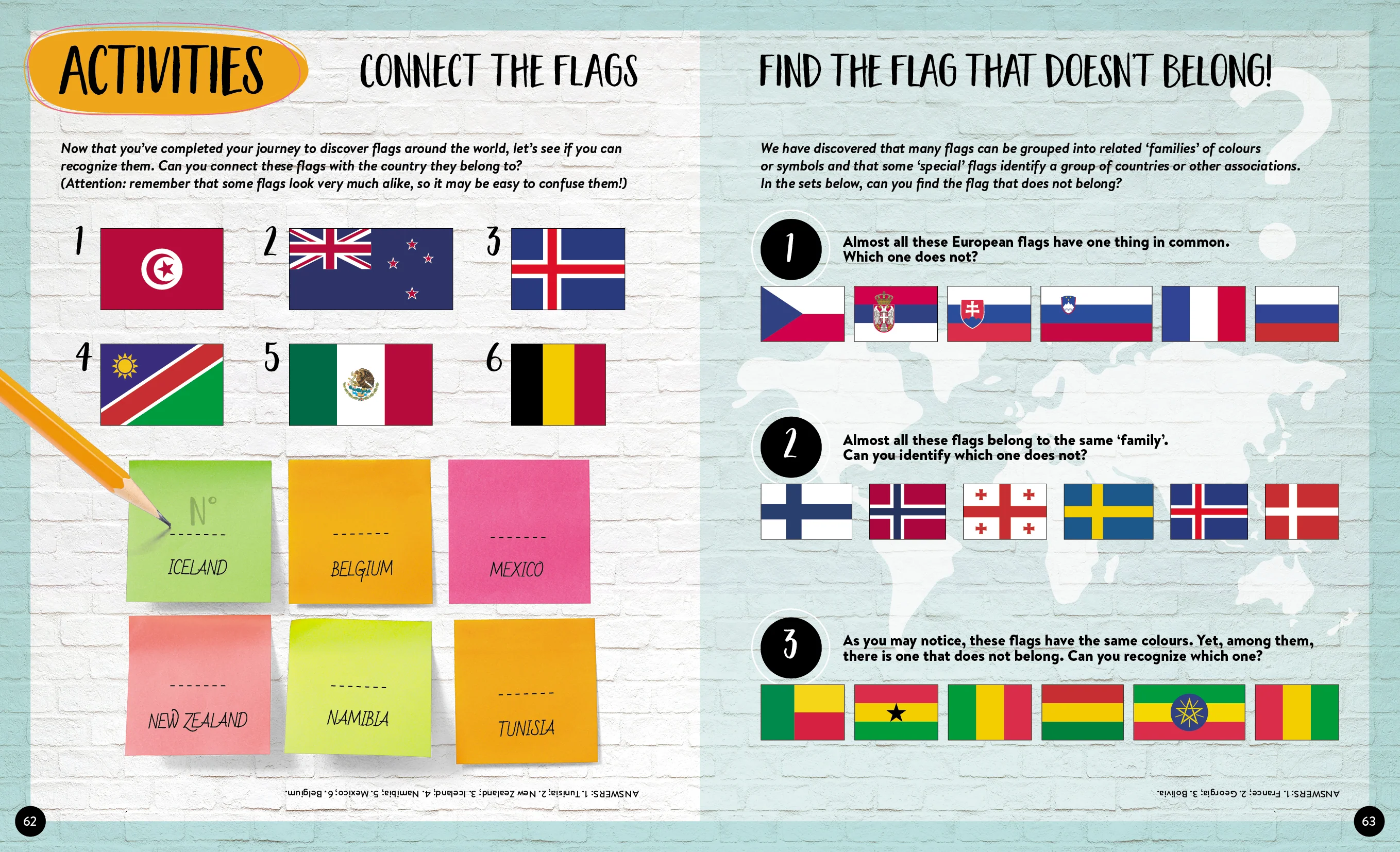 What How Why Flags Book and Poster - Image 5