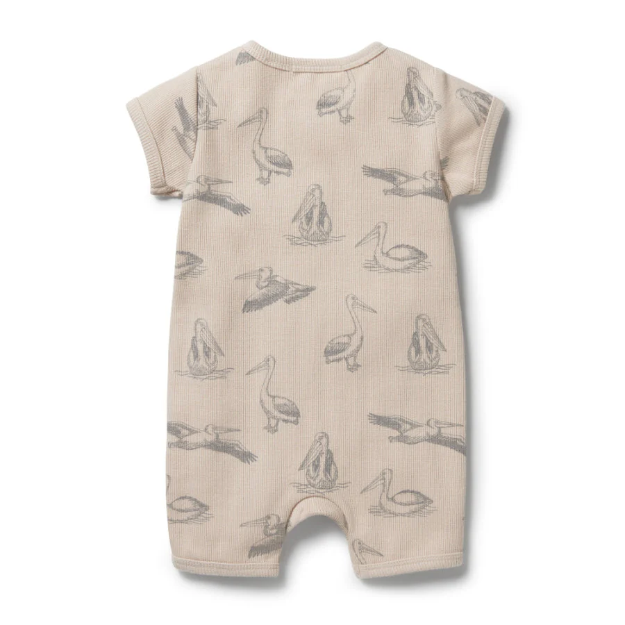 Organic Rib Boyleg Zipsuit - Little Pelican - Image 2
