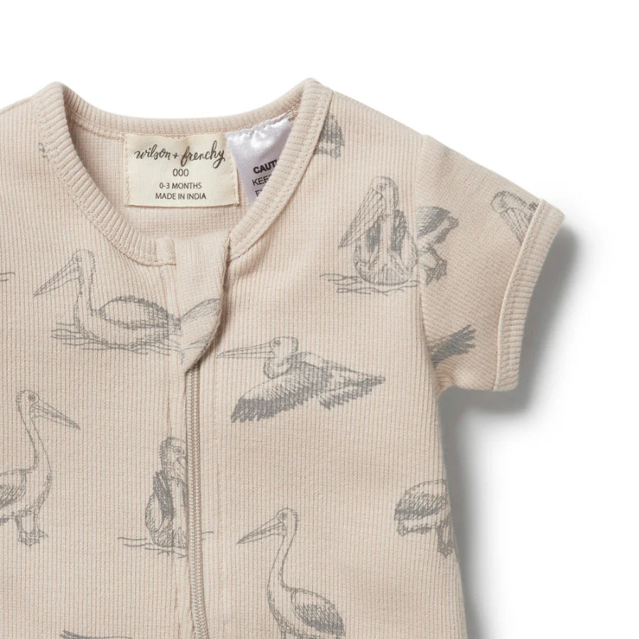 Organic Rib Boyleg Zipsuit - Little Pelican - Image 3