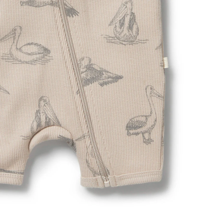 Organic Rib Boyleg Zipsuit - Little Pelican - Image 4