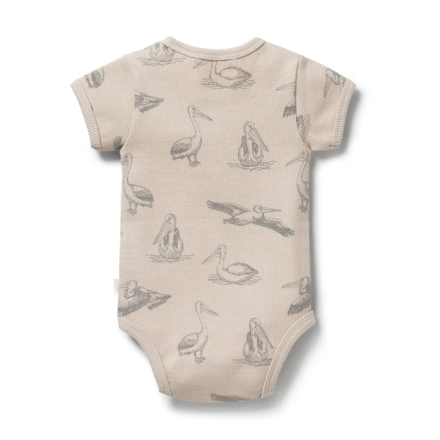 Organic Rib Henley Bodysuit - Little Pelican - Image 2