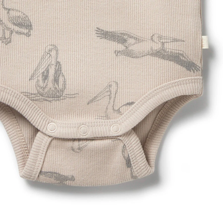 Organic Rib Henley Bodysuit - Little Pelican - Image 4