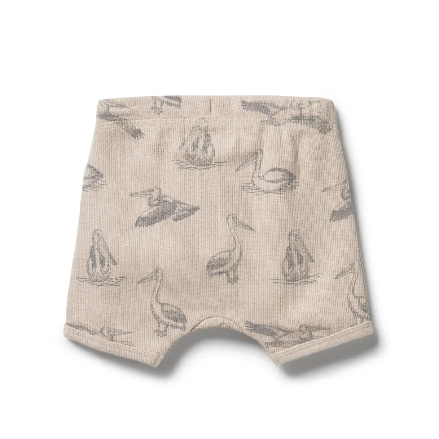 Organic Rib Tie Front Shorts - Little Pelican - Image 2