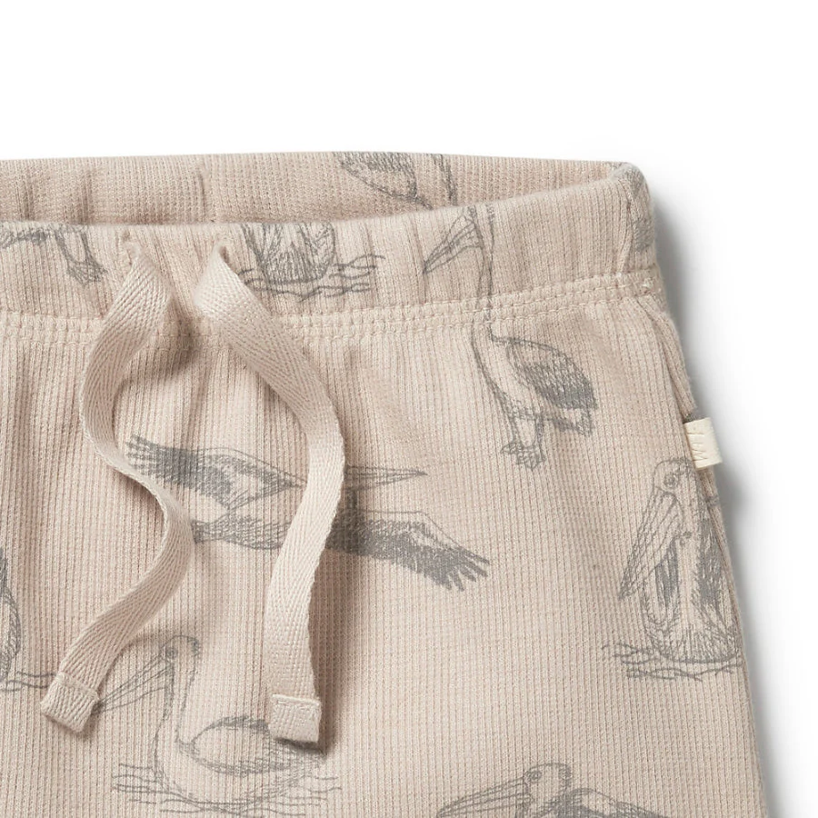 Organic Rib Tie Front Shorts - Little Pelican - Image 3