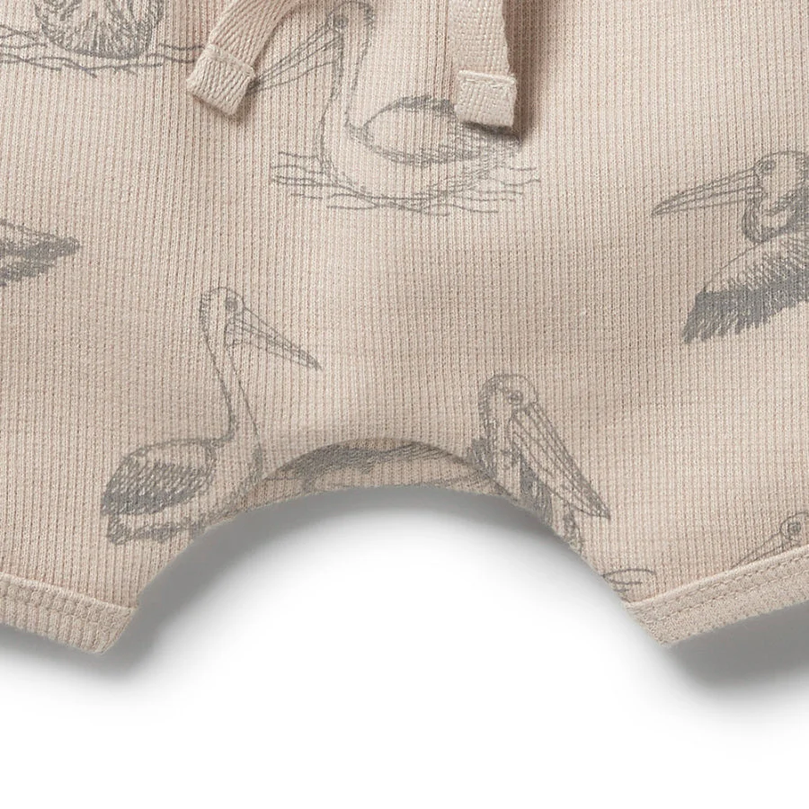 Organic Rib Tie Front Shorts - Little Pelican - Image 4