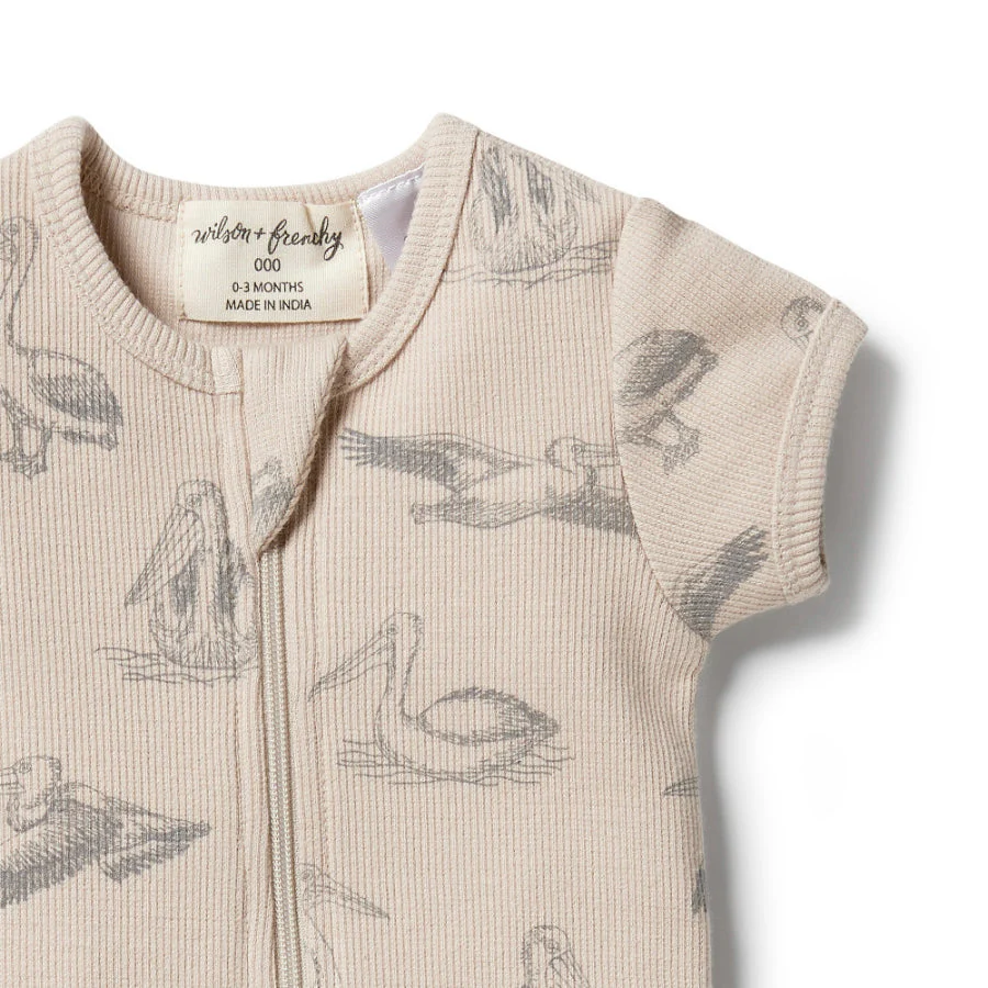 Organic Rib Zipsuit - Little Pelican - Image 3