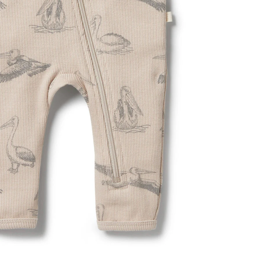 Organic Rib Zipsuit - Little Pelican - Image 4
