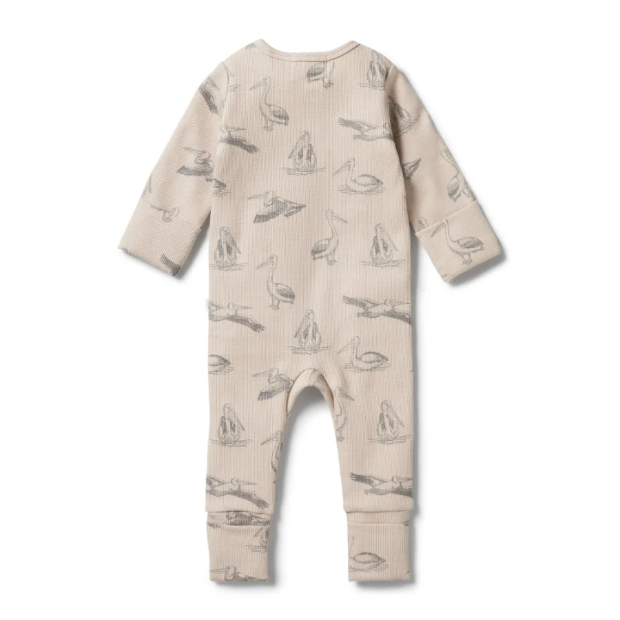 Organic Rib Zipsuit with Feet - Little Pelican - Image 2