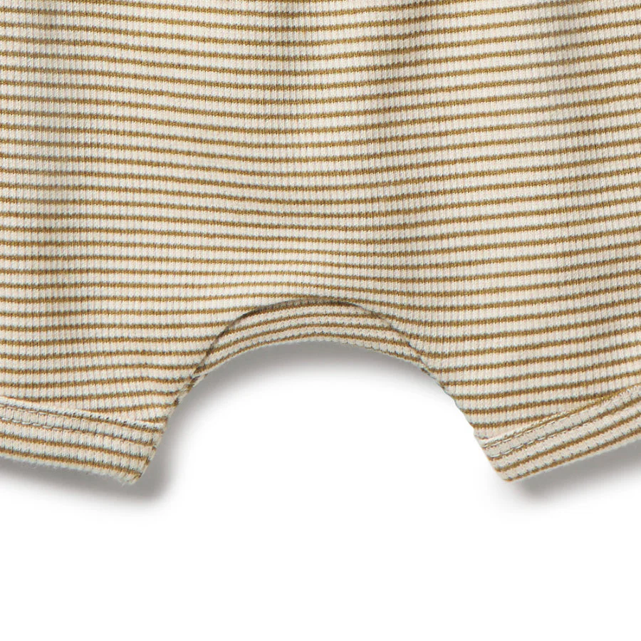 Organic Stripe Rib Tie Front Short - Leaf - Image 4