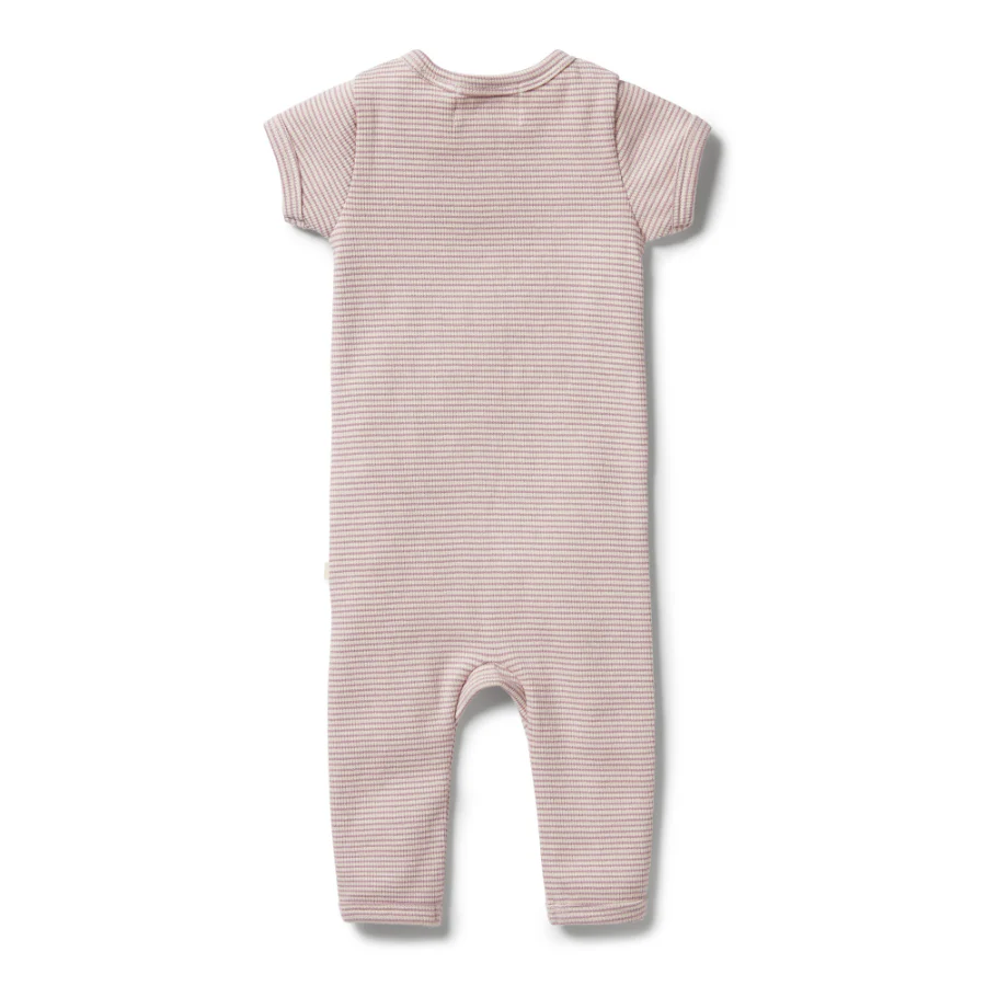 Organic Stripe Rib Zipsuit - Plum - Image 2