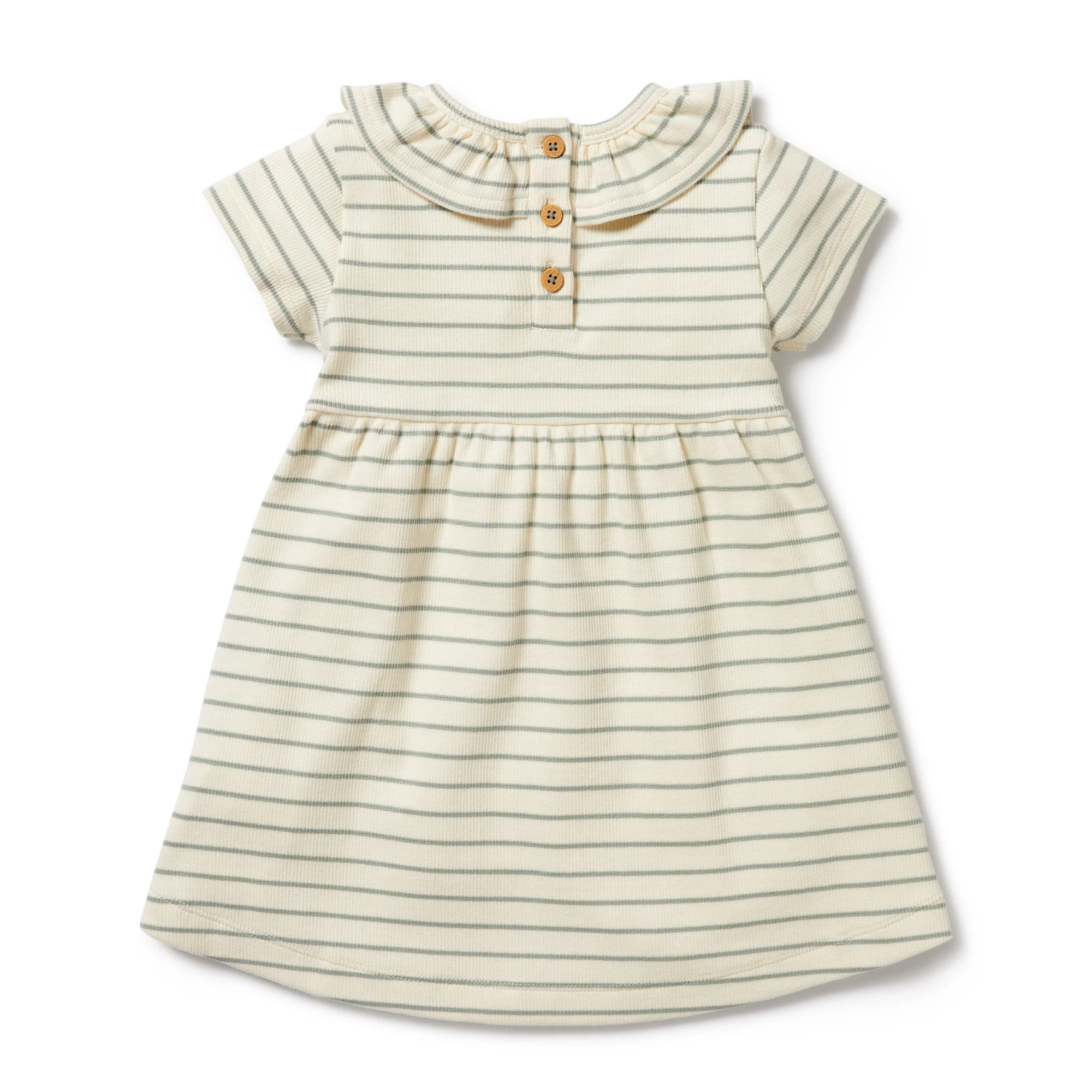 Wilson and Frenchy Petit Sage Organic Ruffle Dress - Image 4