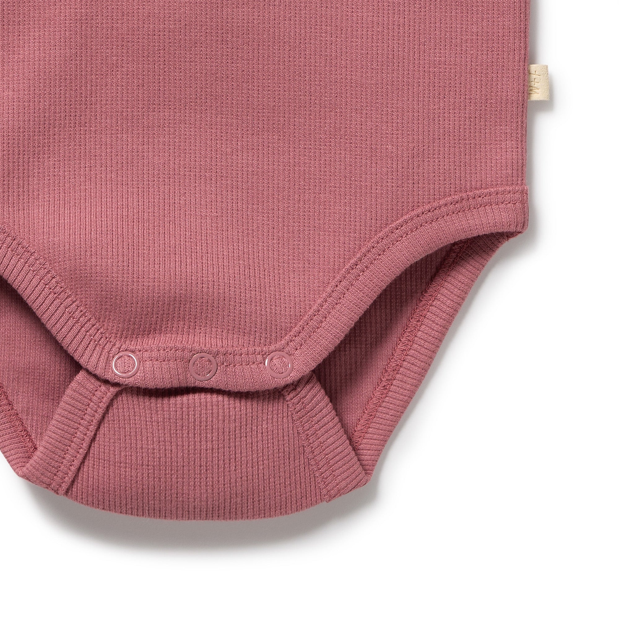 Plum Organic Rib Long Sleeved Bodysuit - Image 5