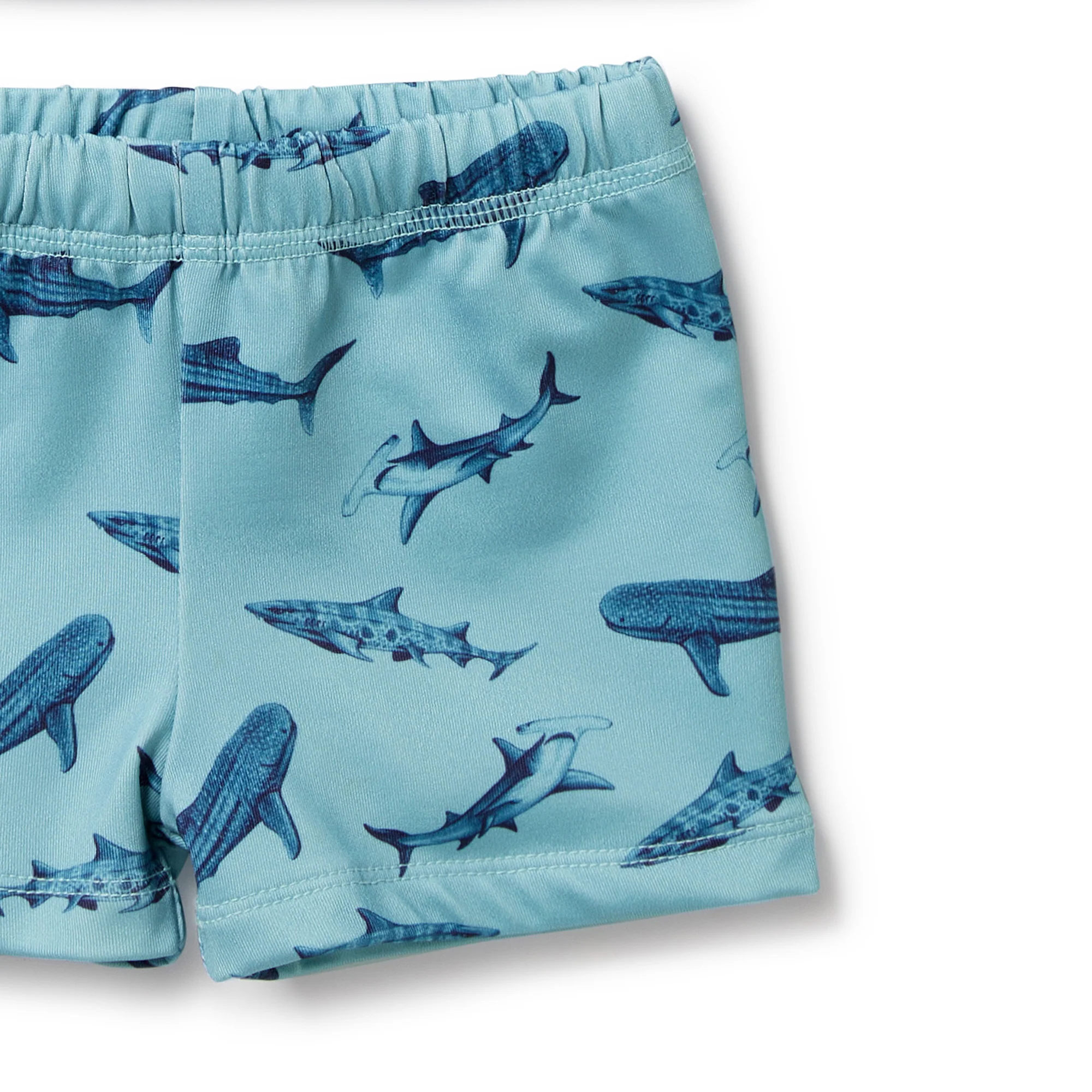 Sharky Rashie Swim Set - Image 2