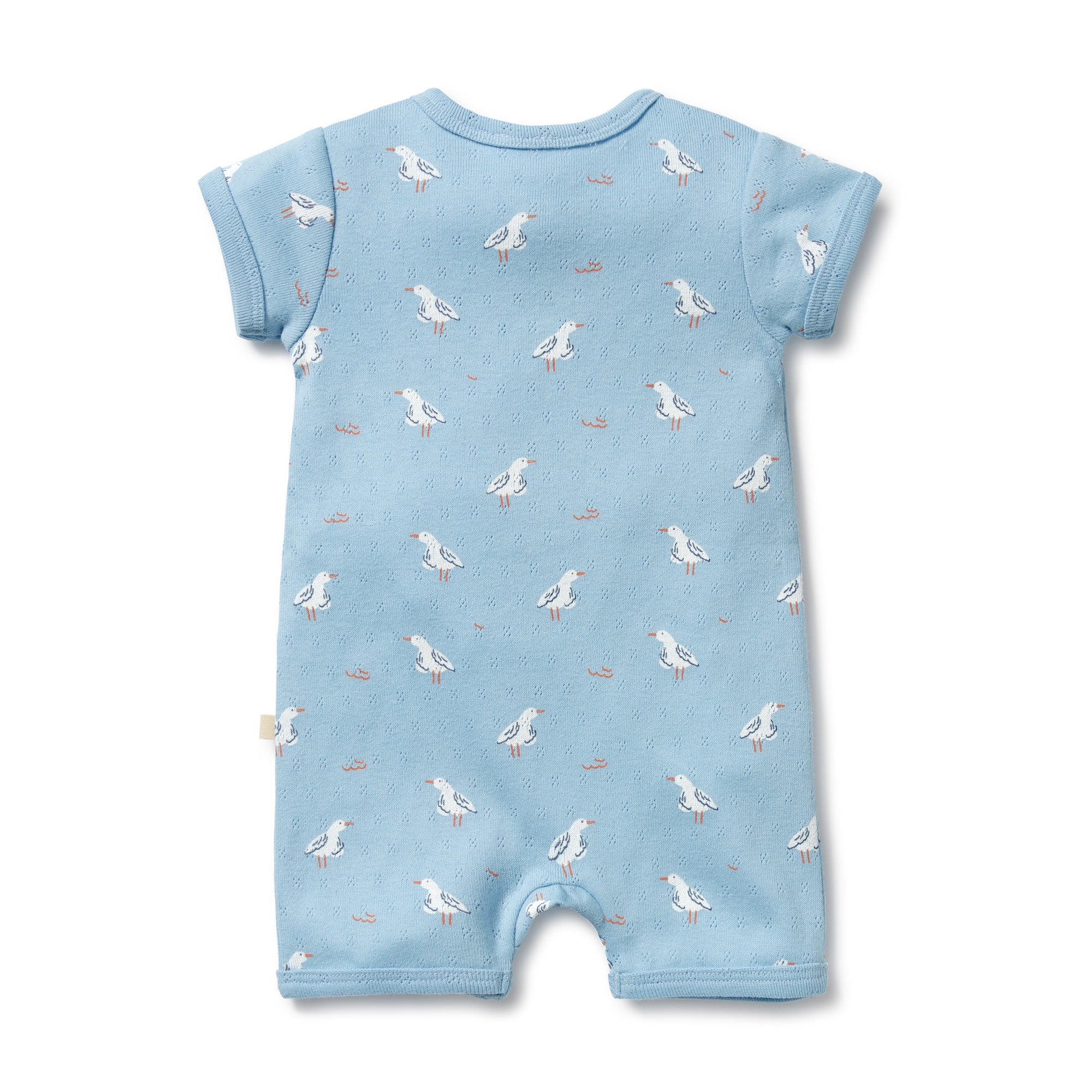 Organic Pointelle Boyleg Zipsuit - Sunny Seagulls - Image 4