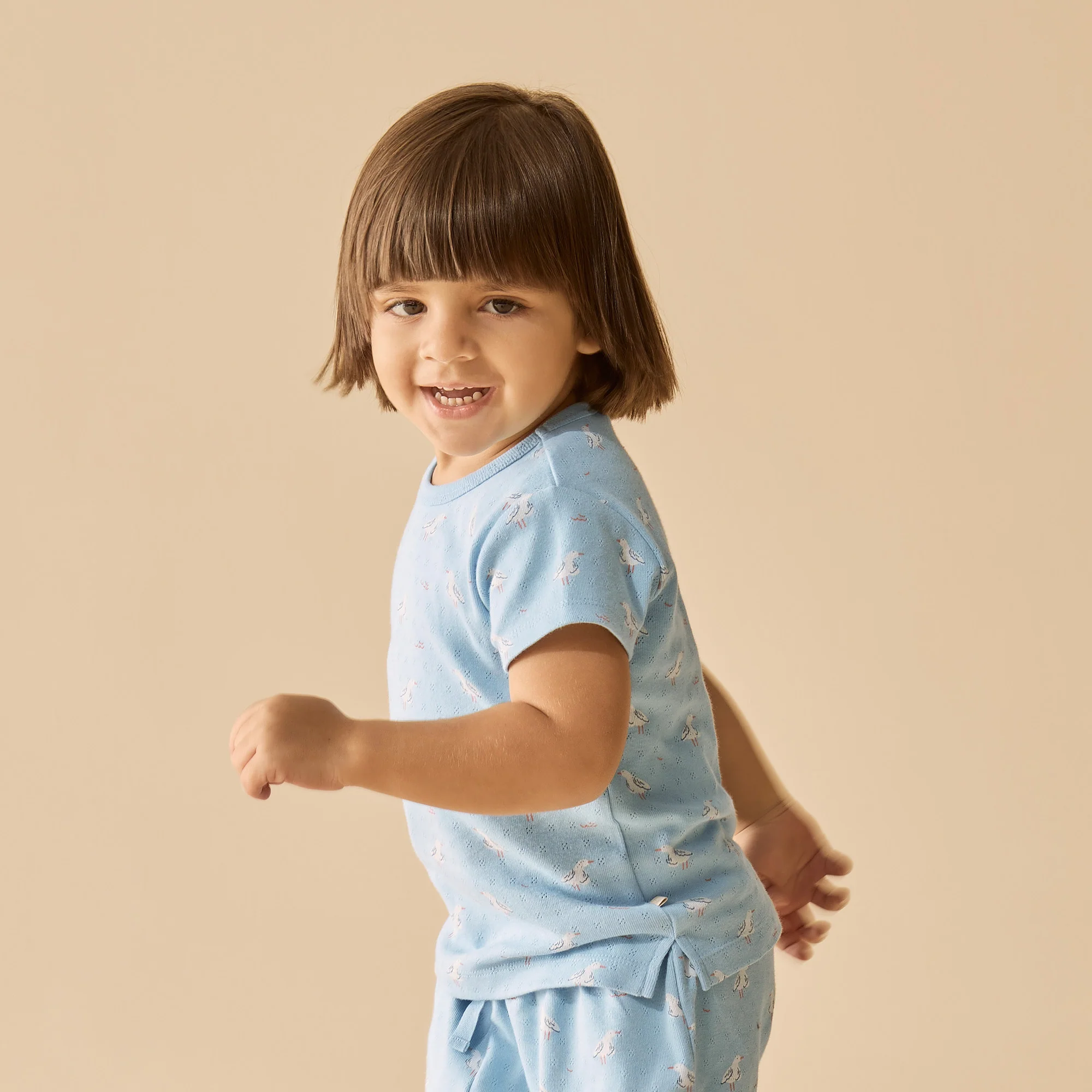 Organic Pointelle Short Sleeved Pyjamas - Sunny Seagulls - Image 3