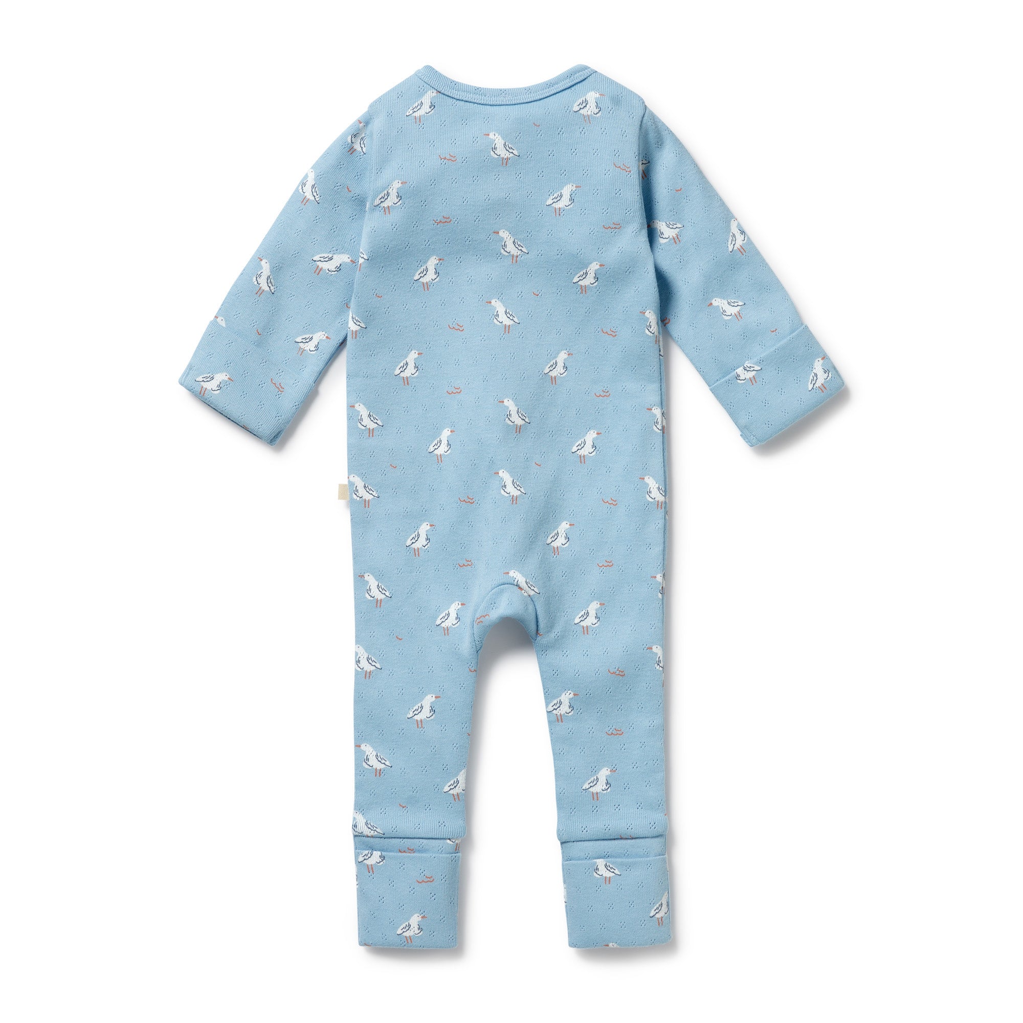 Organic Pointelle Zipsuit with Feet - Sunny Seagulls - Image 4