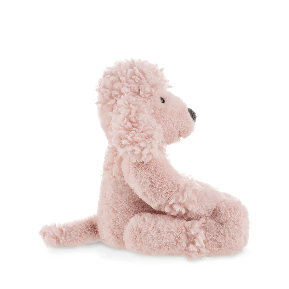 Rose de Paris - Medium - Image 3