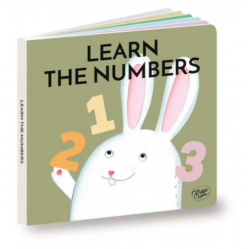 Wooden Sorting Box and Book - Numbers - Image 4